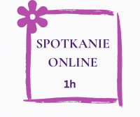 Spotkanie online _ PROMOCJA