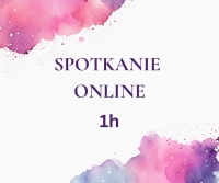 Spotkanie 1/1  online 1h